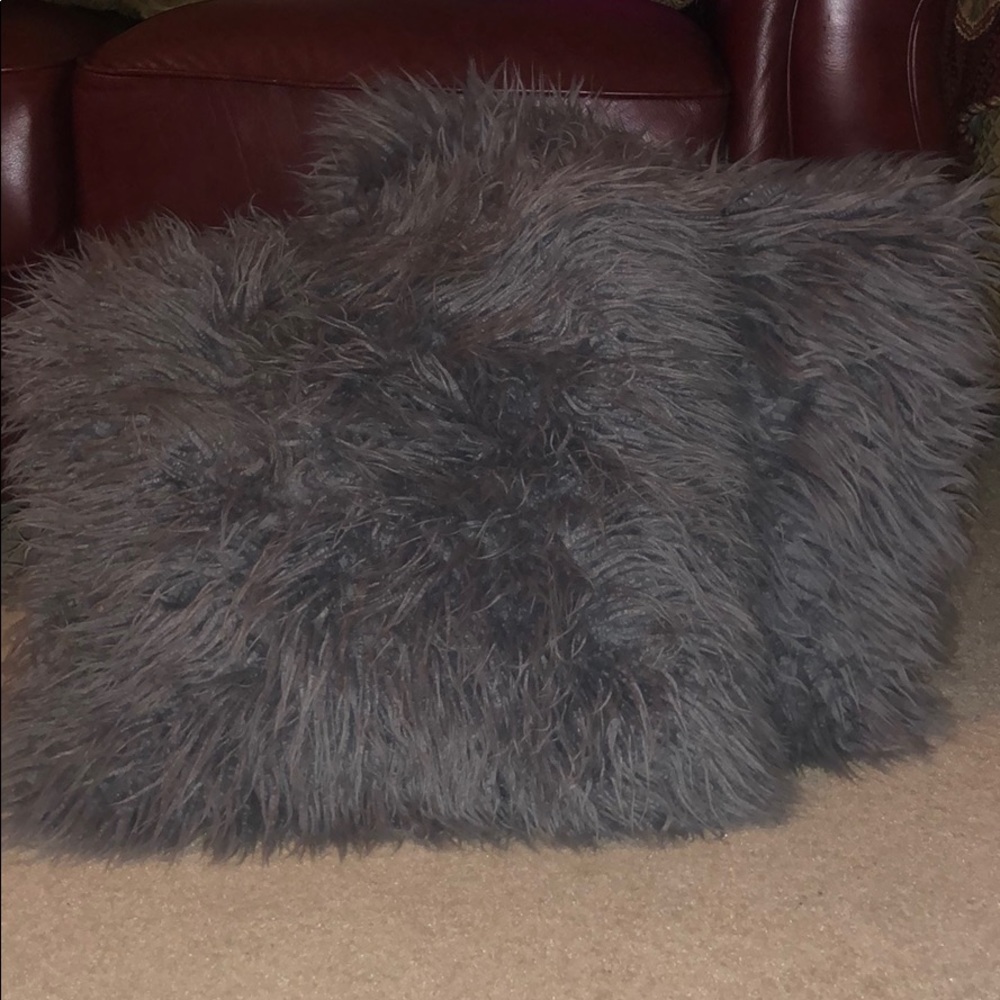 Two furry pillows